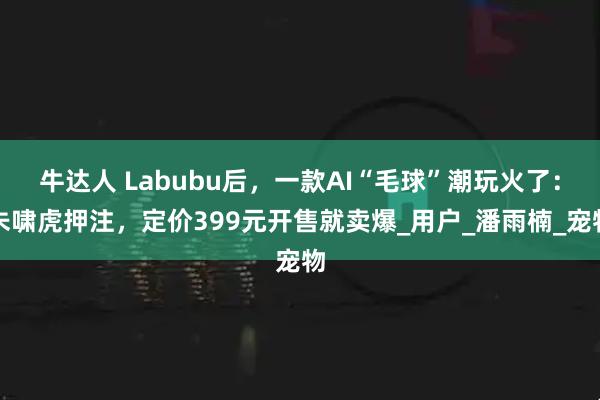 牛达人 Labubu后,一款AI“毛球”潮玩火了:朱啸虎押注,定价399元开售就卖爆_用户_潘雨楠_宠物